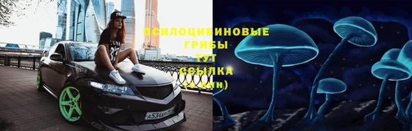 дурь Алексеевка