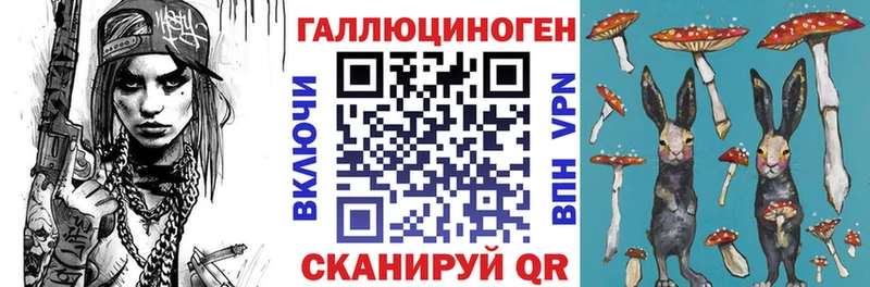 наркотики  Славск  Псилоцибиновые грибы GOLDEN TEACHER 